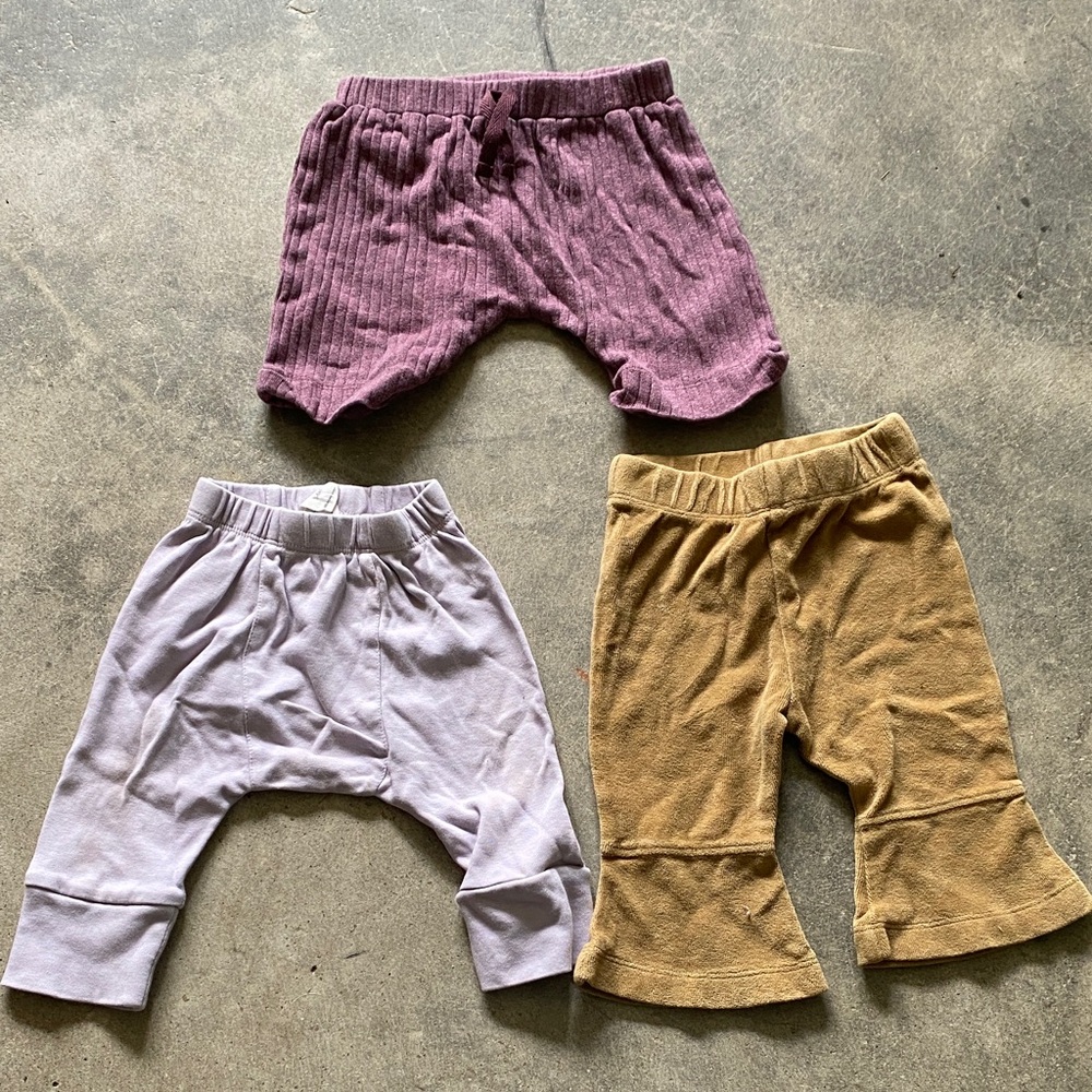kate quinn bundle